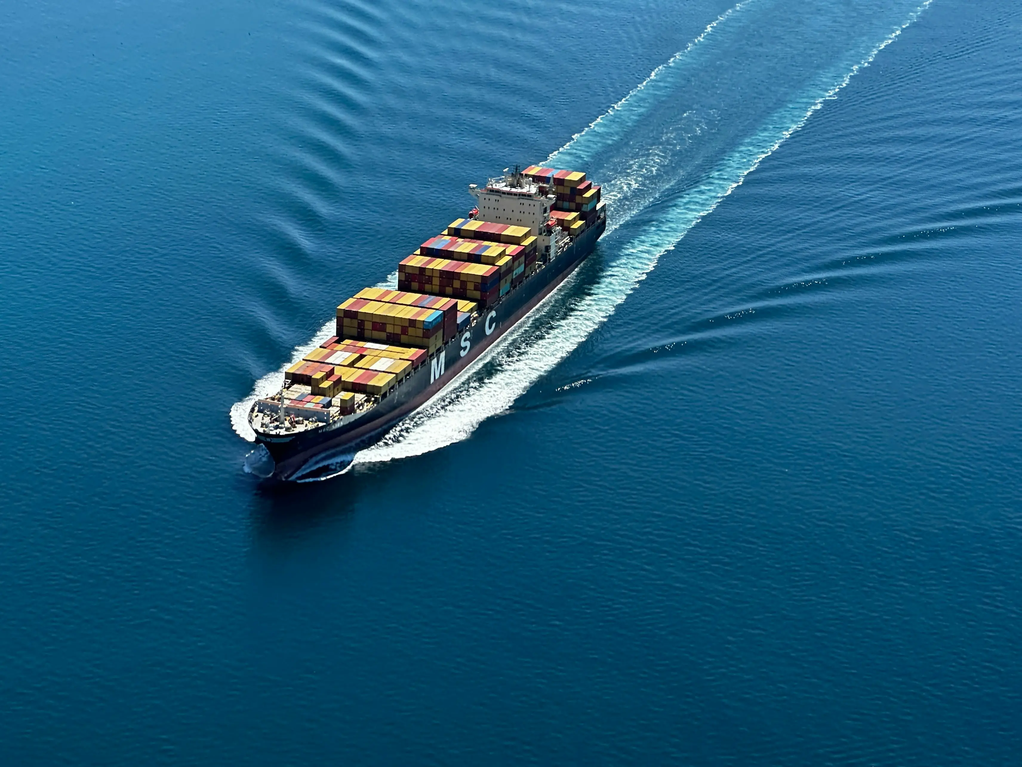 Export Business Gallery 4