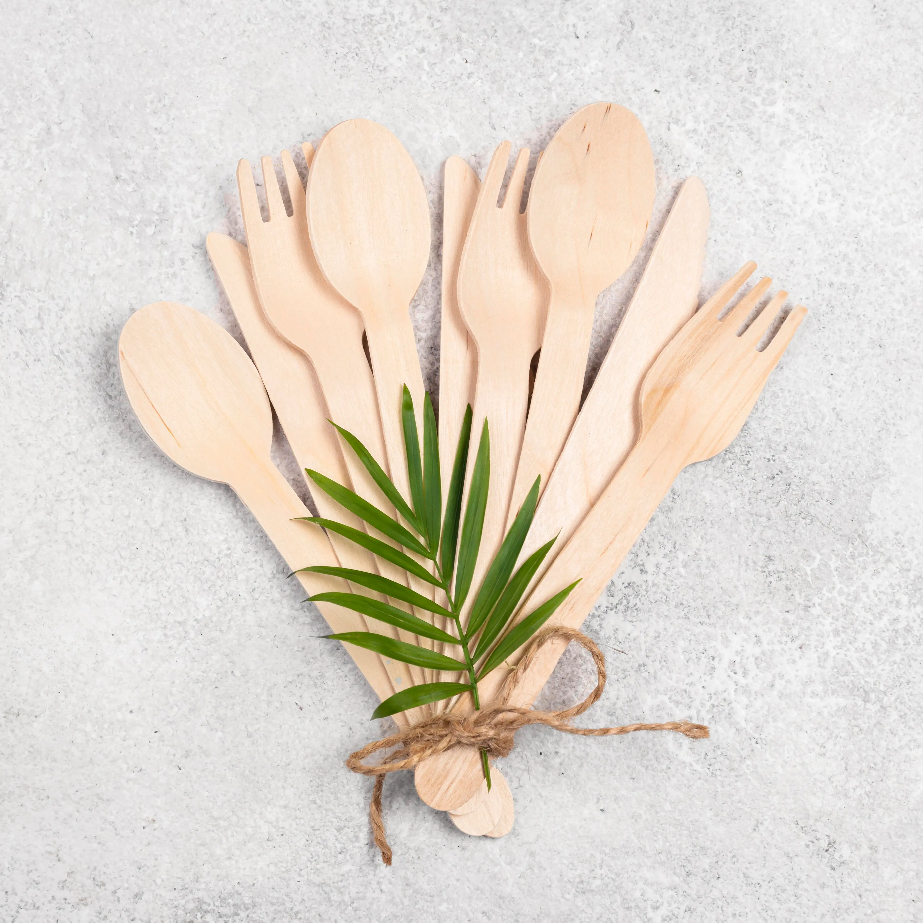 Eco Friendly Compostable Sugarcane Bagasse Cutlery Spoons Forks Knives Wholesale Exporter