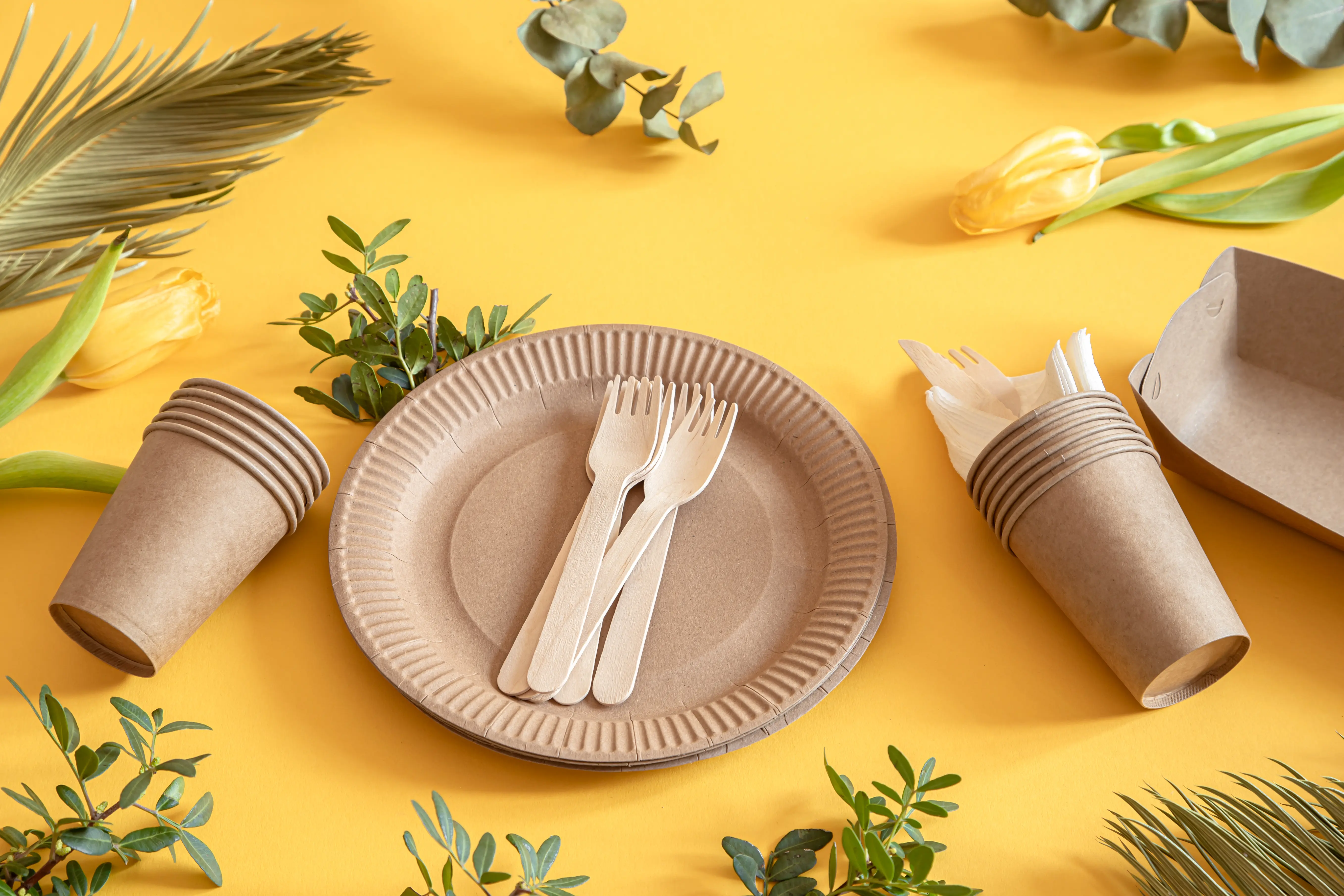 Eco Friendly Biodegradable Food Grade Paper Tableware Food Packaging Manufacturer Exporter
